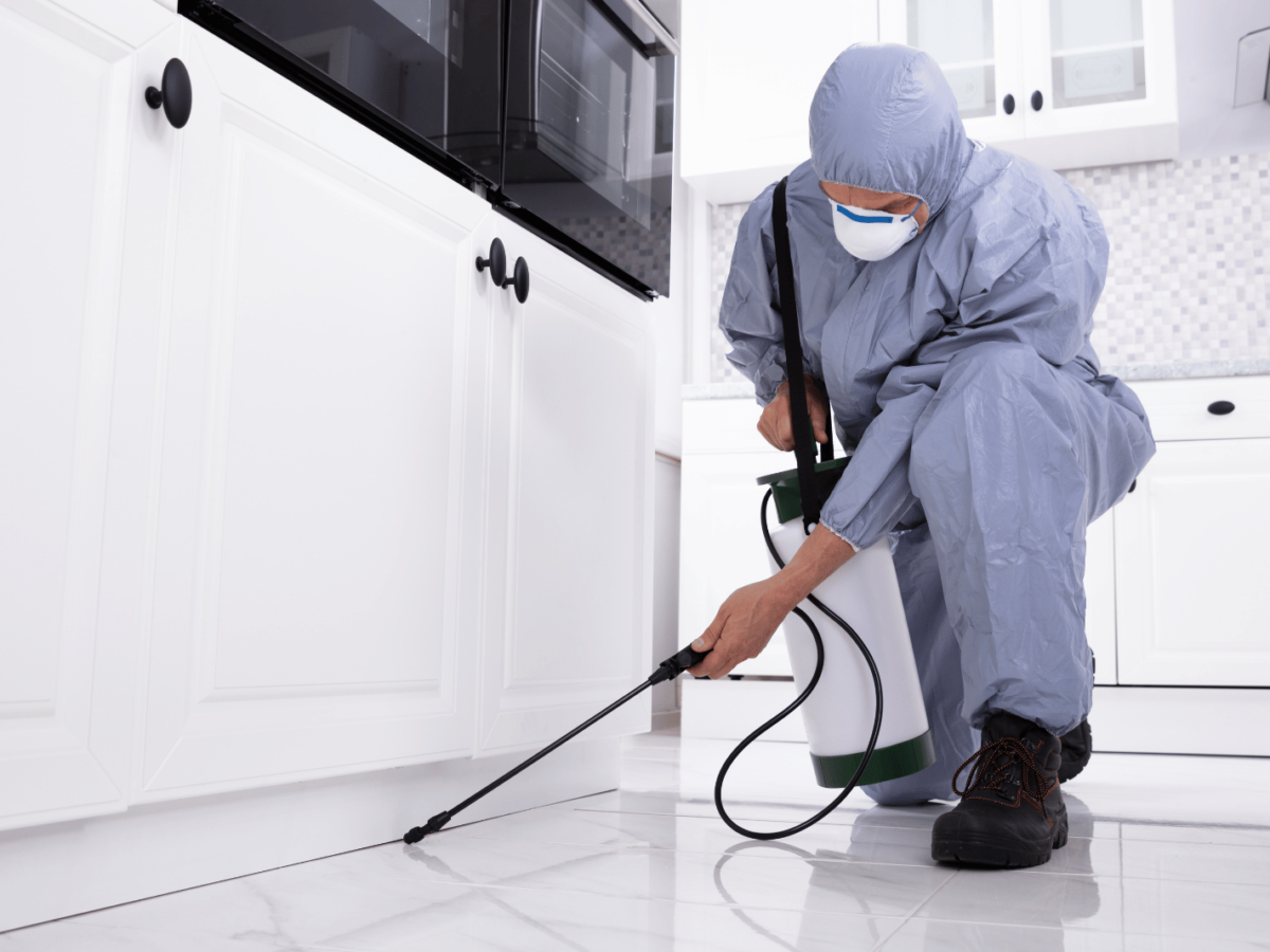 Hijyenik Yaşam Alanları İçin Güvenceniz